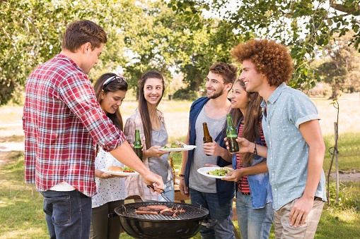 friends_barbecuing_in_the_park