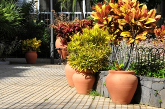 patio_with_planters